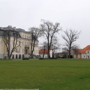 Pałac w Krzyżowej - palac w krzyzowej 12