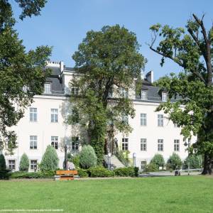 Pałac w Krzyżowej - palac w krzyzowej 4