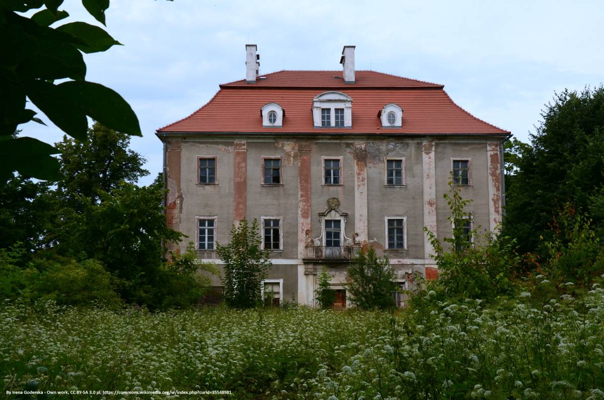 Pałac w Dobromierzu - palac w dobromierzu 3