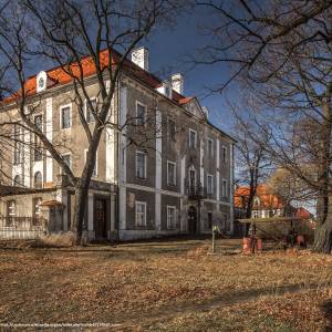 Pałac w Dobromierzu - palac w dobromierzu 10