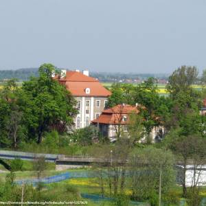 Pałac w Dobromierzu - palac w dobromierzu 7