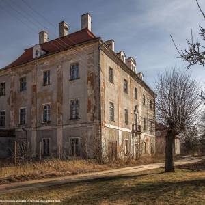 Pałac w Dobromierzu - palac w dobromierzu 8