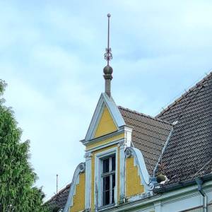 Pałac w Czernicy - palac w czernicy 5