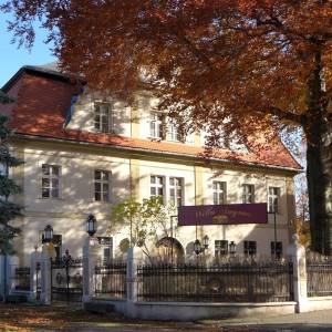 Pałac Miejski (Smyrna) w Kowarach - palac w kowarach 1