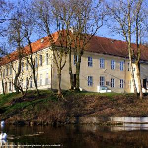 Pałac w Trzebiatowie - trzebiatow palace 2009 04