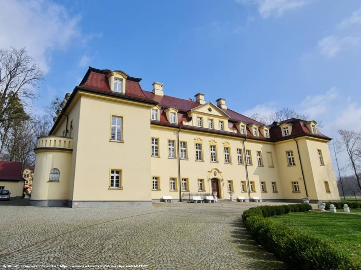 Pałac w Izbicku - palac w izbicku 8
