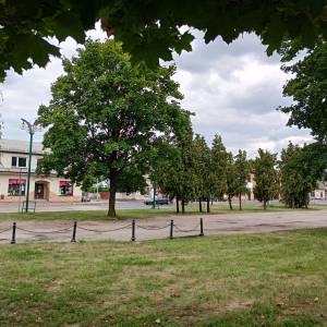 Rynek w Janowie - rynek w janowie 31