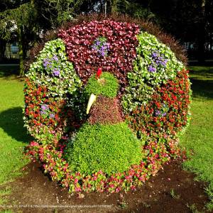Uzdrowisko w Ciechocinku - ciechocinek park zdrojowy vi 2020a
