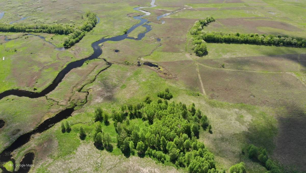 Reduta Koziołek - reduta koziolek1