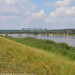 Most Siekierki-Neurüdnitz - oderbrucke bienenwerder 2014 08 08 1