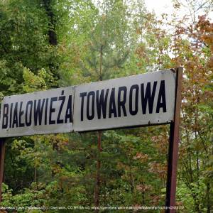 Białowieża Towarowa - bialowieza towarowa tablica 2015 05 15 14 42 49