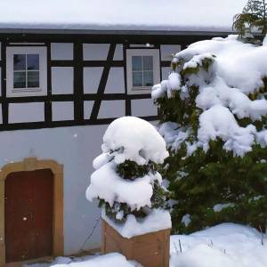 Stary młyn w Przysiece - stary mlyn w przysiece 1