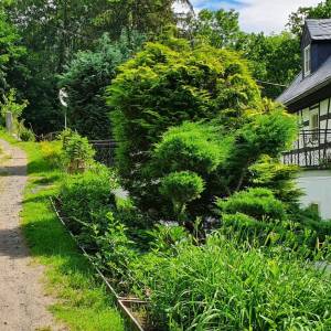 Stary młyn w Przysiece - stary mlyn w przysiece 2