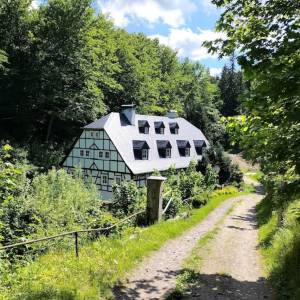 Stary młyn w Przysiece - stary mlyn w przysiece 3