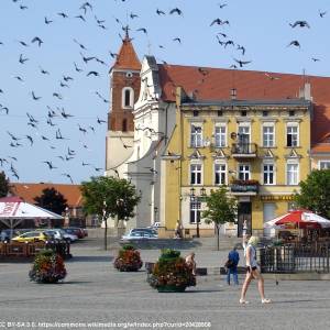Rynek w Gnieźnie - rynek w gnieznie 12