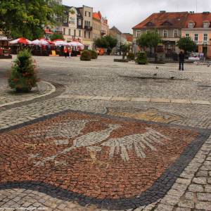 Rynek w Gnieźnie - rynek w gnieznie 13