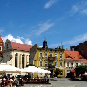 Rynek w Gnieźnie - rynek w gnieznie 6