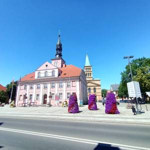 Ratusz w Międzyrzeczu - ratusz w miedzyrzeczu 2025 3