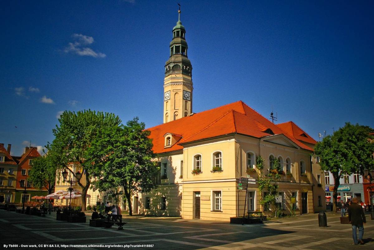 Ratusz w Zielonej Górze - ratusz w zielonej gorze 6