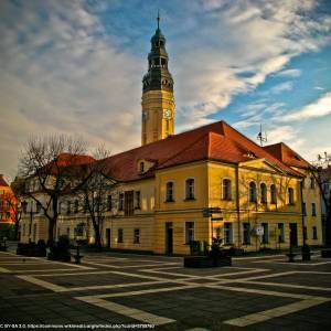 Ratusz w Zielonej Górze - ratusz w zielonej gorze 5