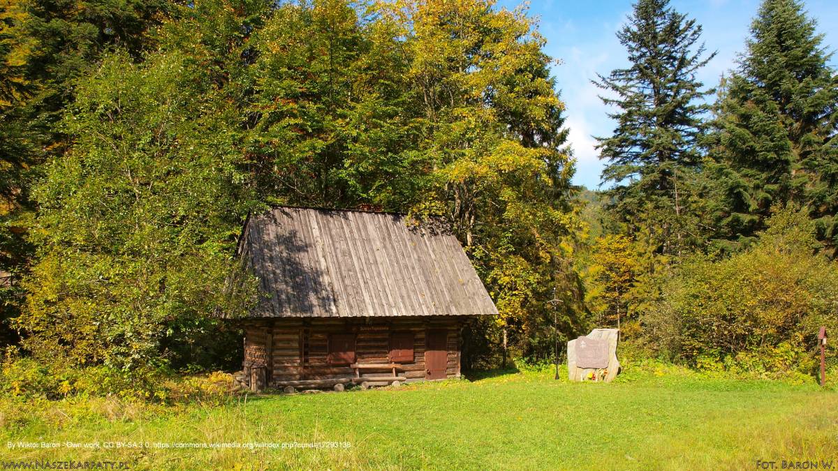 Papieżówka - papierzowka