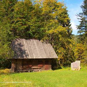 Papieżówka - papierzowka