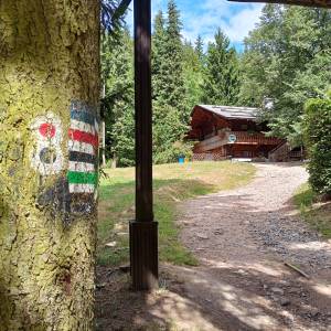 Schronisko PTTK "Szwajcarka" - schronisko pttk szwajcarka 15