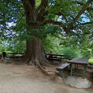 Schronisko PTTK "Szwajcarka" - schronisko pttk szwajcarka 21