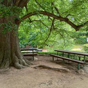 Schronisko PTTK "Szwajcarka" - schronisko pttk szwajcarka 24