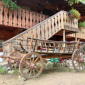 Schronisko PTTK "Szwajcarka" - schronisko pttk szwajcarka 25