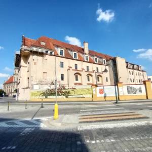 Dawne Gimnazjum Piastowskie w Brzegu - dawne gimnazjum piastowskie w brzegu 2024 1