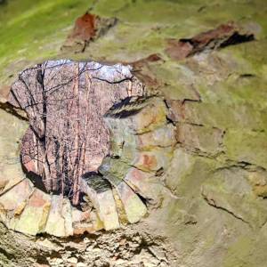 Wieża widokowa w Mostkach - wieza widokowa w mostkach 1