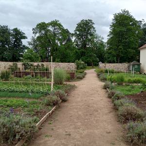 Zespół folwarczny w Łomnicy - zespol folwarczny w lomnicy 19