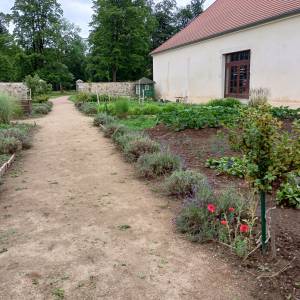 Zespół folwarczny w Łomnicy - zespol folwarczny w lomnicy 21