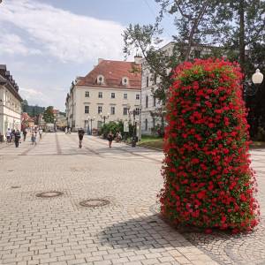 Uzdrowisko Cieplice Śląskie-Zdrój - img 20240630 125721368 hdr