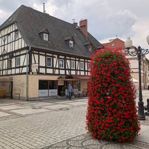 Uzdrowisko Cieplice Śląskie-Zdrój - img 20240630 130859675 hdr