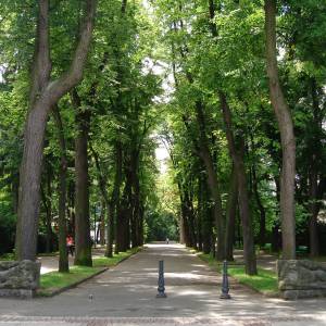 Uzdrowisko Cieplice Śląskie-Zdrój - uzdrowisko cieplice slaskie zdroj 5