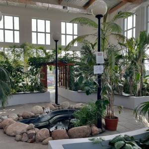 Pijalnia wód mineralnych z palmiarnią Inowrocławianka - pijalnia wod mineralnych z palmiarnia inowroclawianka5