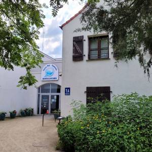Pijalnia wód mineralnych z palmiarnią Inowrocławianka - pijalnia wod mineralnych z palmiarnia inowroclawianka7