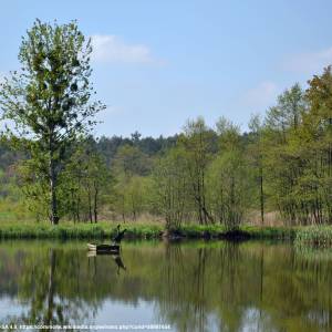 Jezioro Rybnickie (Zalew Rybnicki) - gzel maly lake rybnik 02