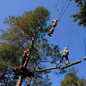 Park linowy Tarzan w Karpaczu - park linowy tarzan w karpaczu 5