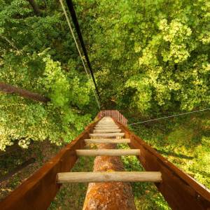 Park linowy Tarzan w Karpaczu - park linowy tarzan w karpaczu 7