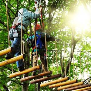 Park linowy Tarzan w Karpaczu - park linowy tarzan w karpaczu 8