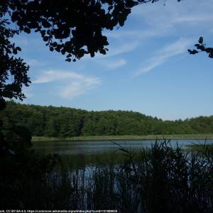 Jezioro Niesłysz - jezioro nieslysz 13