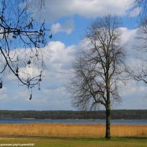 Jezioro Niesłysz - jezioro nieslysz 16