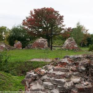 Stare Miasto w Kostrzynie nad Odrą - 15 09 23 festung kustrin ruinen ralfr n3s 1825
