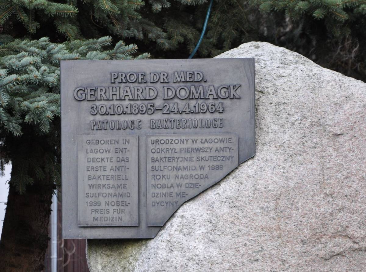 Pomnik Gerharda Domagka w Łagowie - pomnik gerharda domagka w lagowie 2