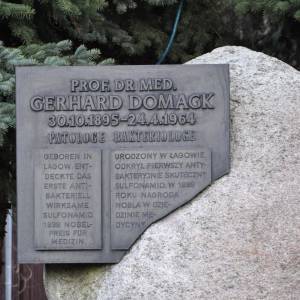 Pomnik Gerharda Domagka w Łagowie - pomnik gerharda domagka w lagowie 2