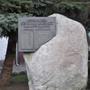 Pomnik Gerharda Domagka w Łagowie - pomnik gerharda domagka w lagowie 3