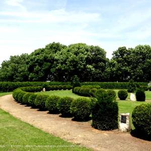 Ogród Różańcowy w Chełmie - chelm ogrod rozancowy 4